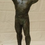 Grand baillant sétirant